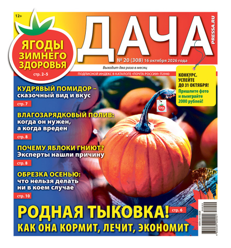 Газета ДАЧА